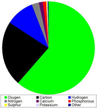 Pie chart showing chemical composition of human body by mass