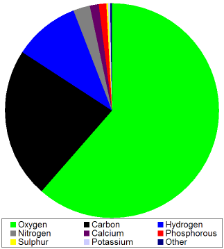 Elements In The Ocean Pie Chart